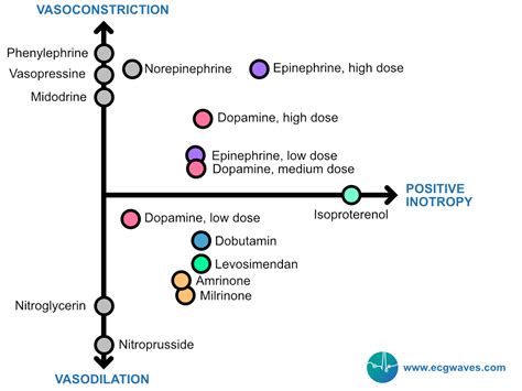 alpha and beta receptors chart|Use of vasopressors and inotropes .